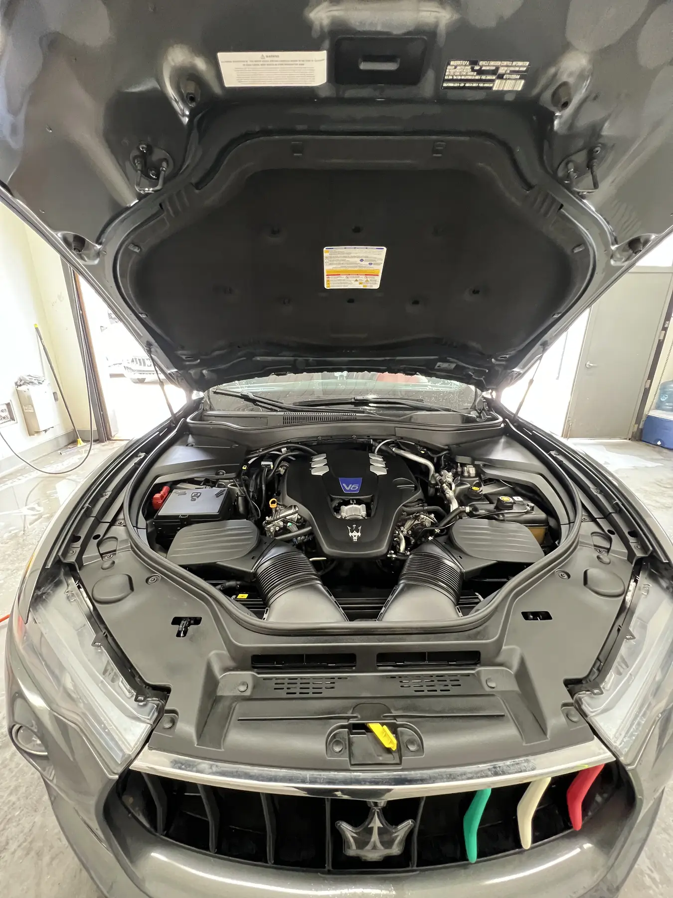 Engine bay after detailing